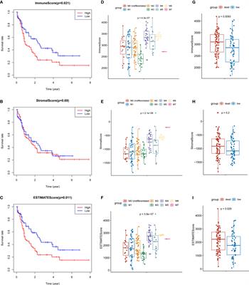 Tumor Microenvironmental Competitive Endogenous RNA Network and Immune Cells Act as Robust Prognostic Predictor of Acute Myeloid Leukemia